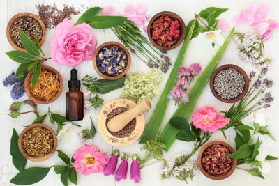 Natural and organic ingredients we use at Agnes & Me